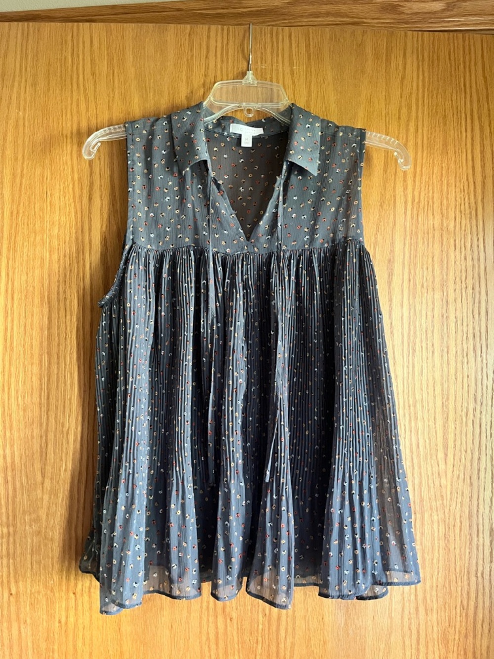 Lady Bugs LC Lauren Conrad Pleated Shirt